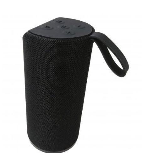 Blaupunkt BP1253 Portable Bluetooth Speaker
